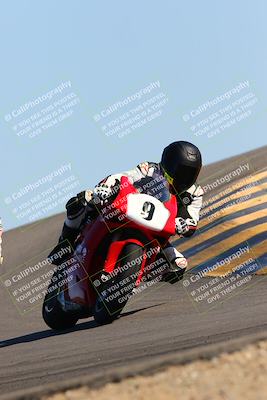 media/Feb-12-2022-SoCal Trackdays (Sat) [[3b21b94a56]]/Turn 12 (140pm)/